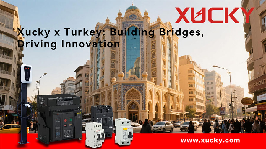 Xucky In Turkey: კლიენტის ჩართულობა და ბაზრის შეხედულებები